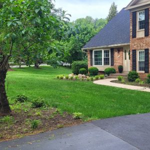 brick house front