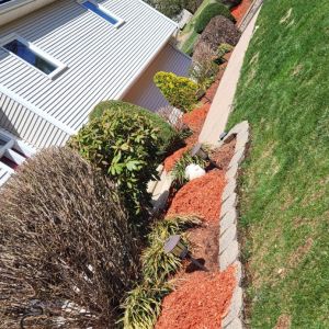 red mulch portrait 