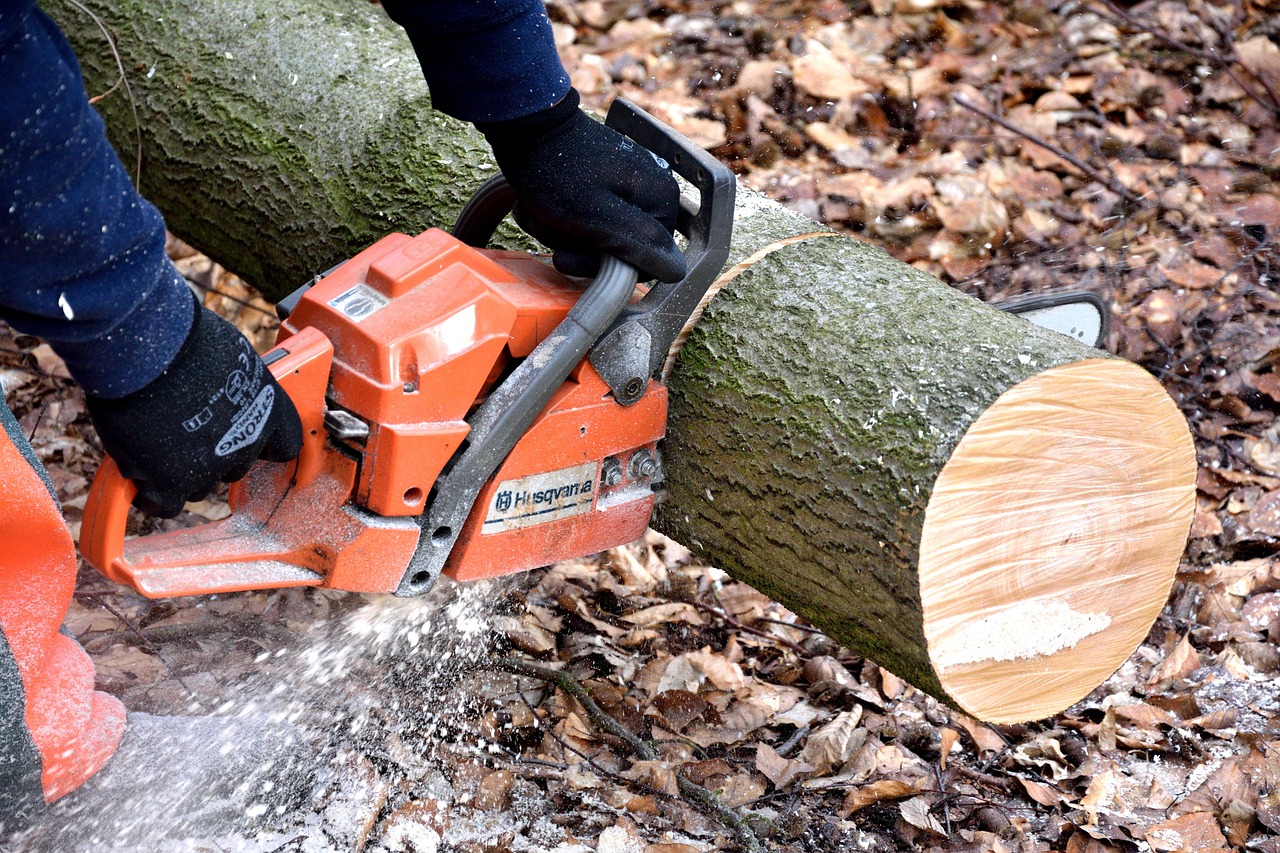 Tree Removal & Climbing