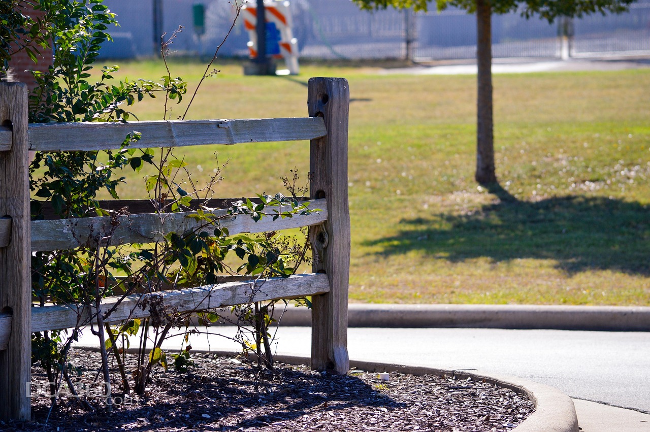 Sod, Shrubs & Mulch Installation